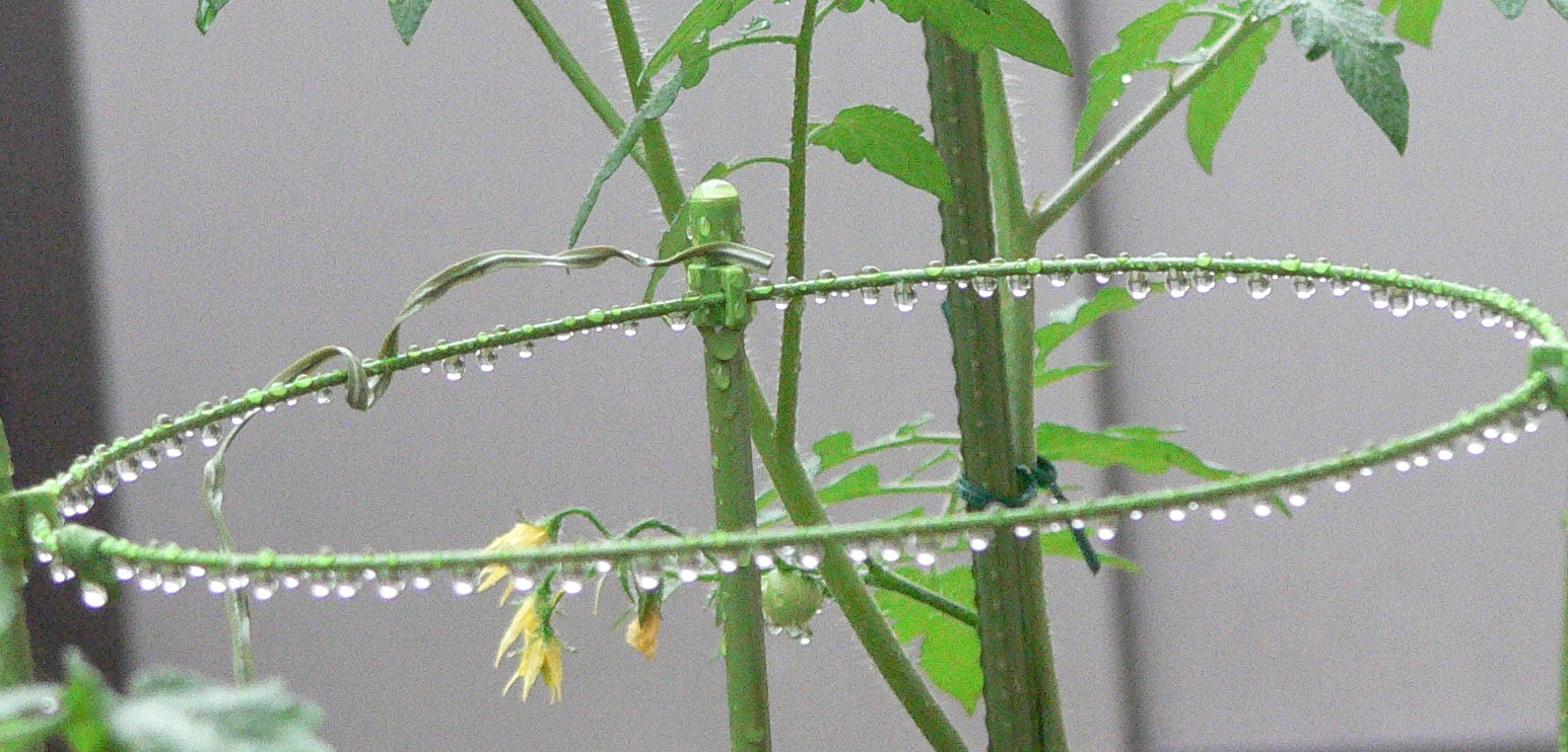 f0185902_2014562.jpg