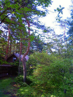 f0185902_9451053.jpg