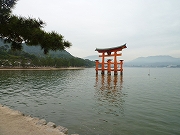 c0151903_20212126.jpg