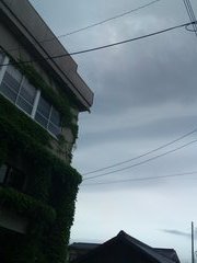 a0125905_8594715.jpg