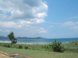 f0048405_16353099.jpg