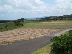 f0048405_16354567.jpg
