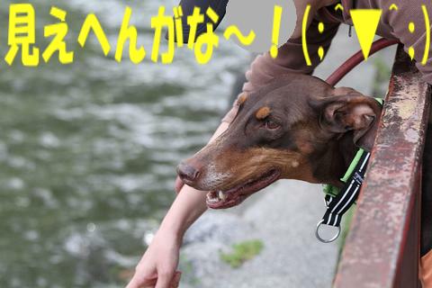 e0100007_21484335.jpg