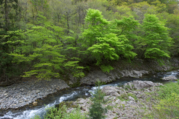 e0121814_22131263.jpg
