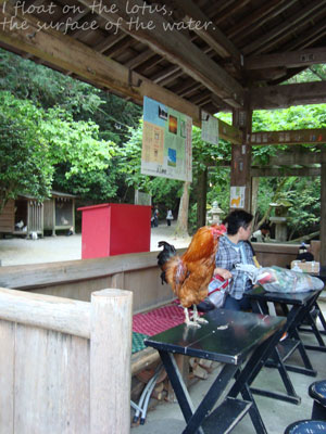 b0075318_1942273.jpg
