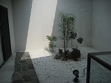 f0139520_2155046.jpg
