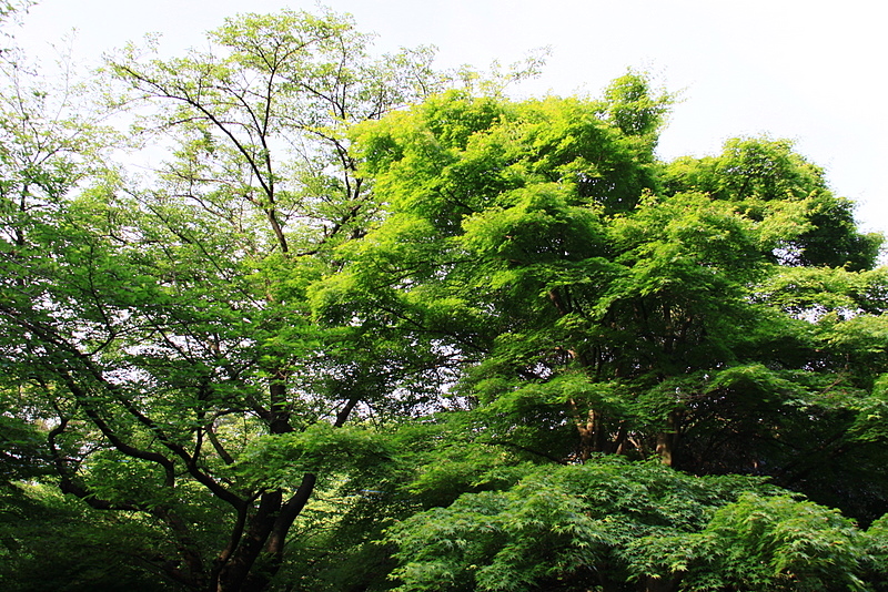 b0165522_2326495.jpg