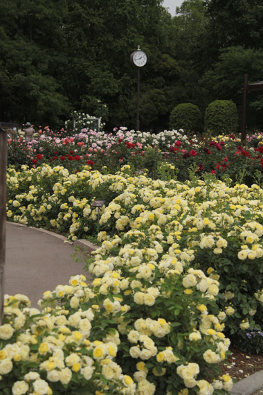 e0071225_22124040.jpg