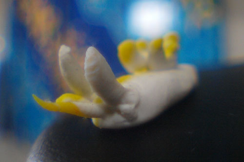 b0044726_1753064.jpg