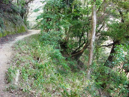 d0137326_1335199.jpg