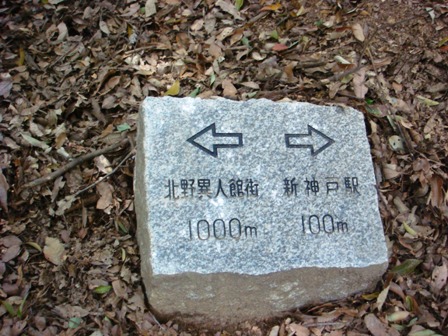 d0137326_13474747.jpg