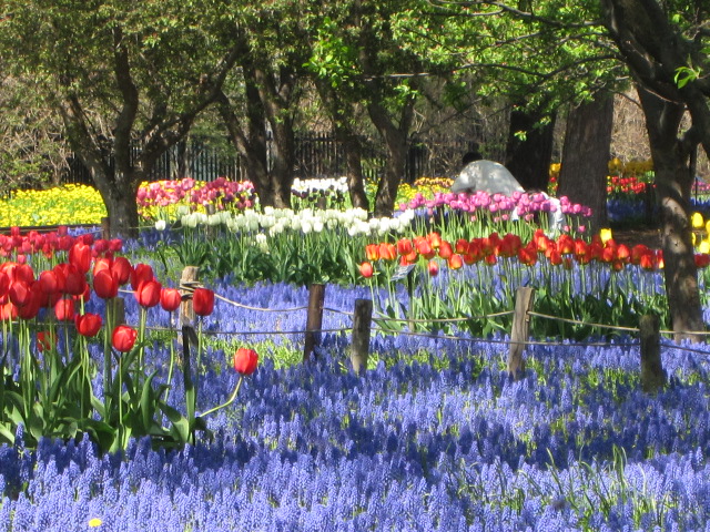 e0191826_23301940.jpg