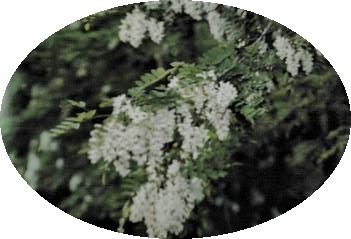 a0098027_1713615.jpg