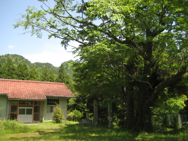 d0147727_1956434.jpg