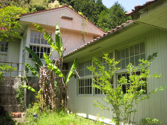 d0147727_20716100.jpg