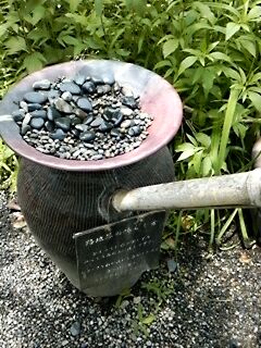 f0186330_1194767.jpg
