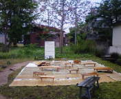 a0070831_18423590.jpg