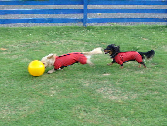 c0117831_20315293.jpg