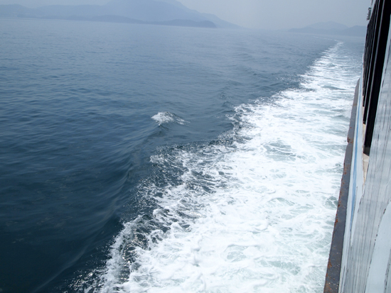 c0117831_20493290.jpg