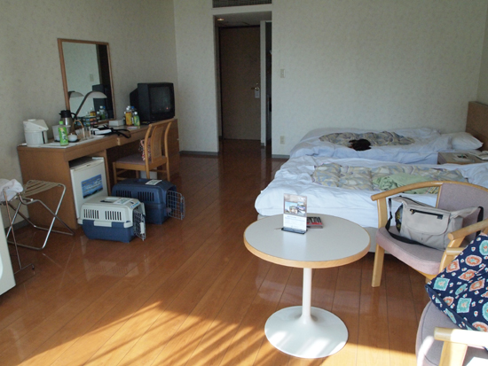 c0117831_22122836.jpg