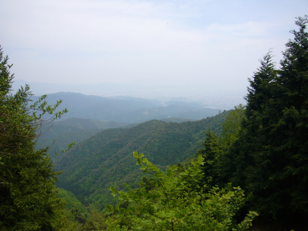d0075131_23284972.jpg