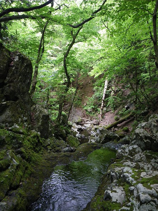 f0118332_13381258.jpg