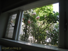 c0134734_1283511.jpg