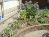 f0167635_6454352.jpg