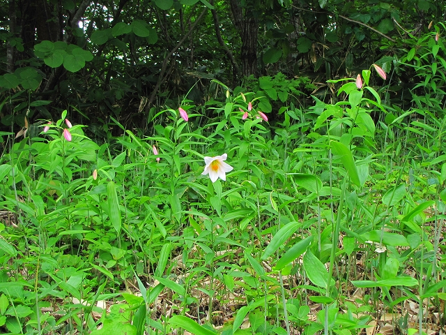 b0097836_13404282.jpg