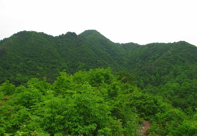 b0097836_14124117.jpg
