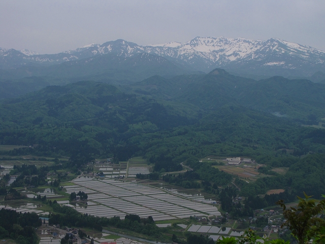 b0097836_147643.jpg