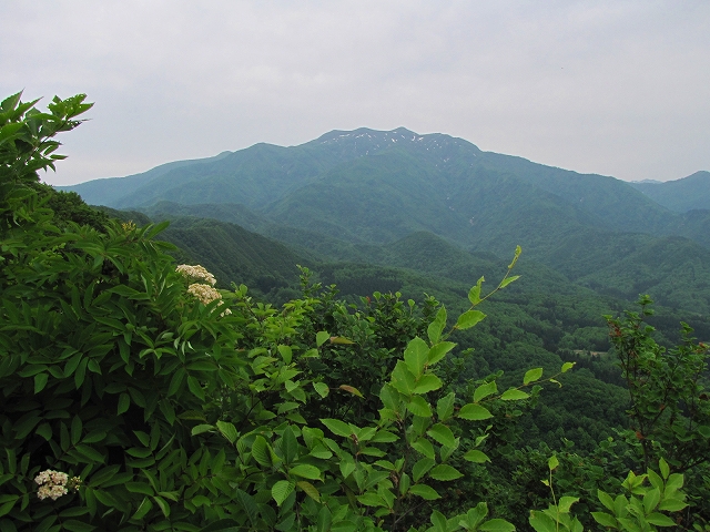 b0097836_1483654.jpg