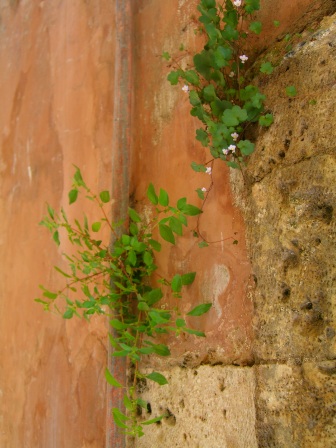 c0170236_0324274.jpg