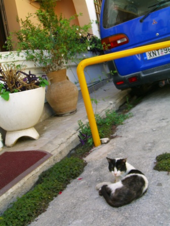 c0170236_038642.jpg