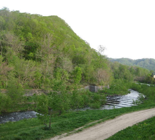 c0117239_1691190.jpg
