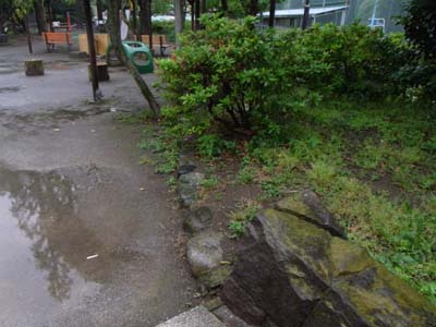 b0019140_13371165.jpg