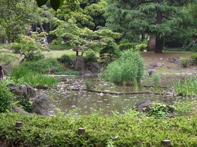 b0019140_13392245.jpg