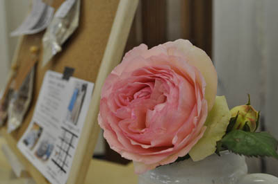 f0204440_0342426.jpg