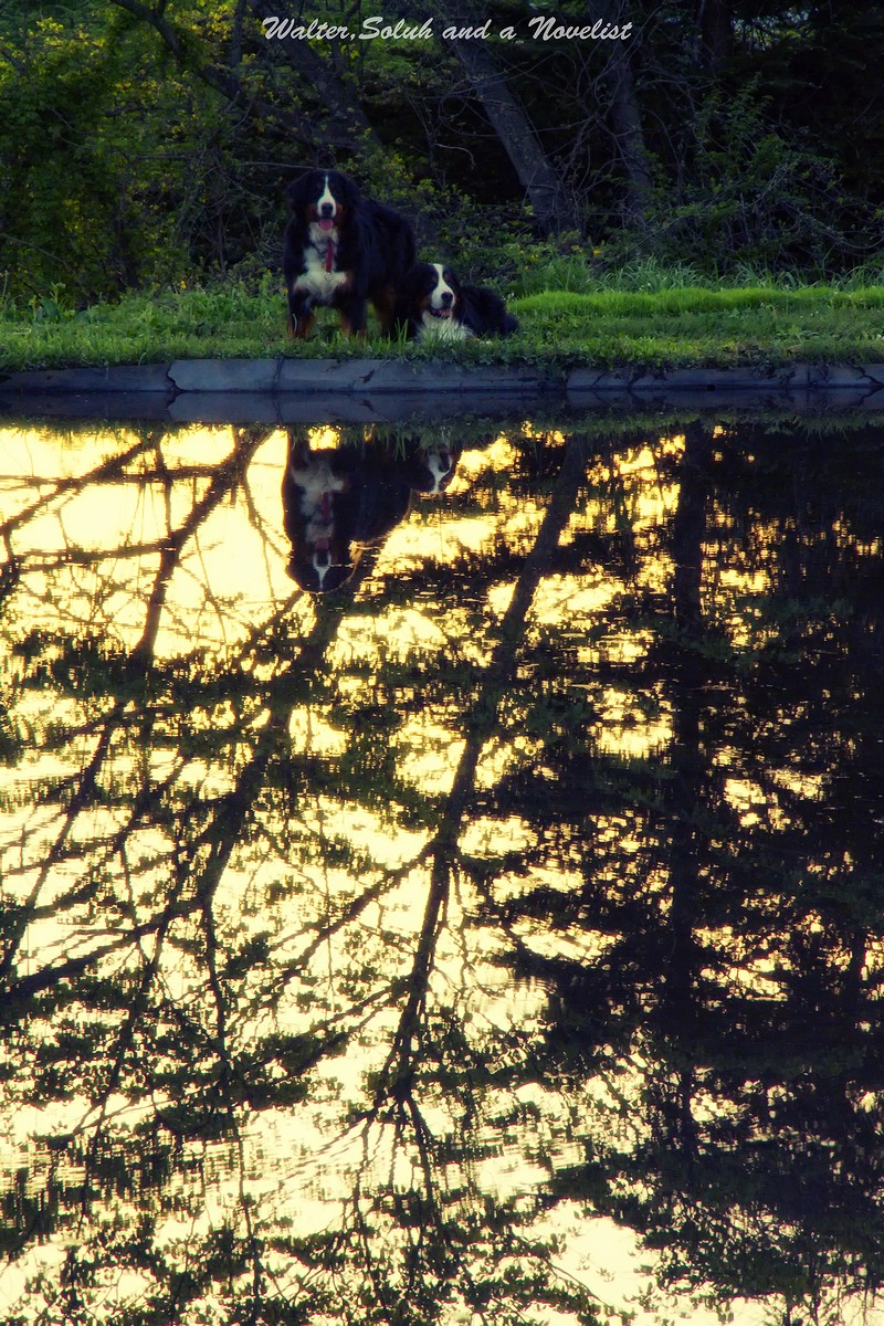 e0121641_913991.jpg