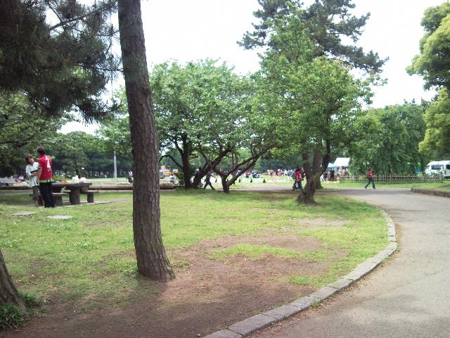 e0150843_1384172.jpg