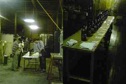 b0028347_11454875.jpg