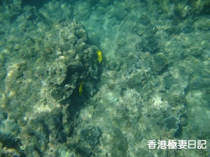f0190653_916222.jpg
