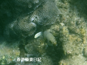 f0190653_9164868.gif