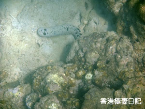 f0190653_91723.jpg