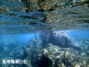 f0190653_9173815.jpg