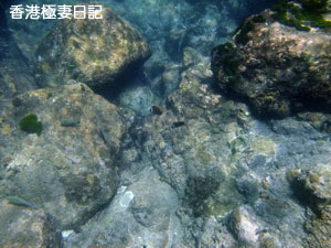 f0190653_9174894.jpg