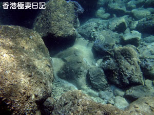 f0190653_918096.jpg