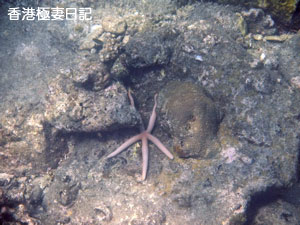 f0190653_9181337.jpg