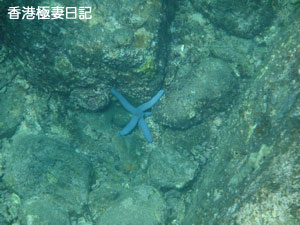 f0190653_9182379.jpg