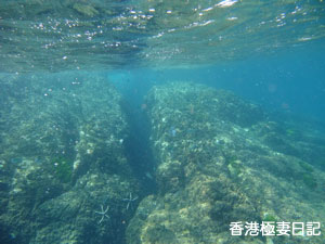 f0190653_9185911.jpg